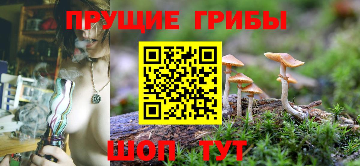 Галлюциногенные грибы Magic Shrooms Рубцовск